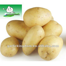 Pomme de terre jaune et fraiche (150g-250g) de JBK